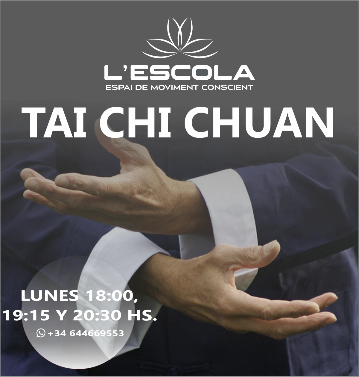 Tai Chi