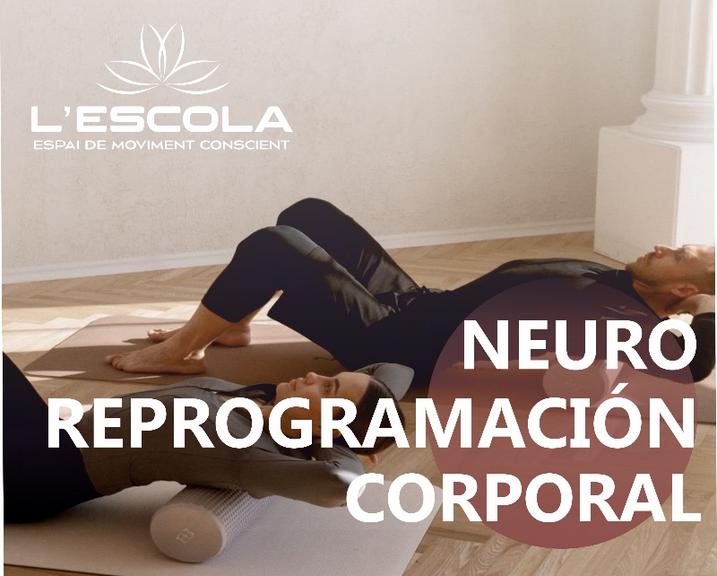 Yoga Movilidad y Fuerza